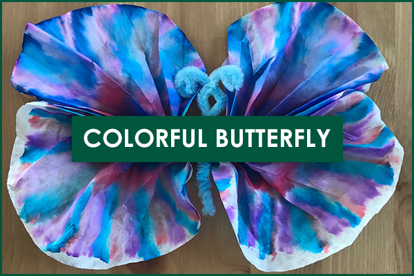 Colorful Butterfly Craft