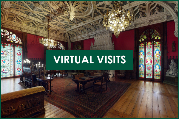 Virtual Visits