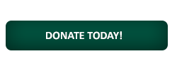 Donate Today Button!