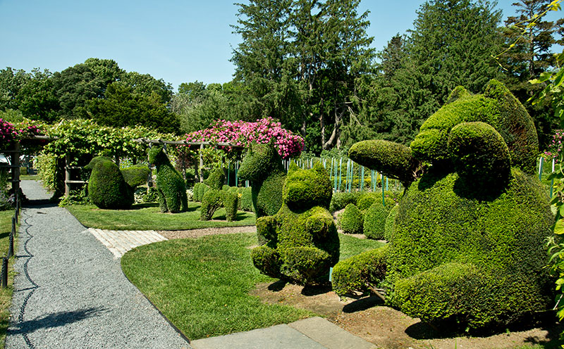 Green Animals Topiary Garden jpeg photo